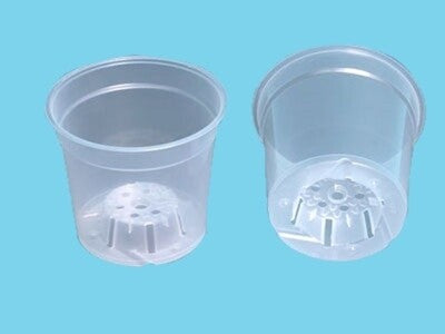 Transparent pot