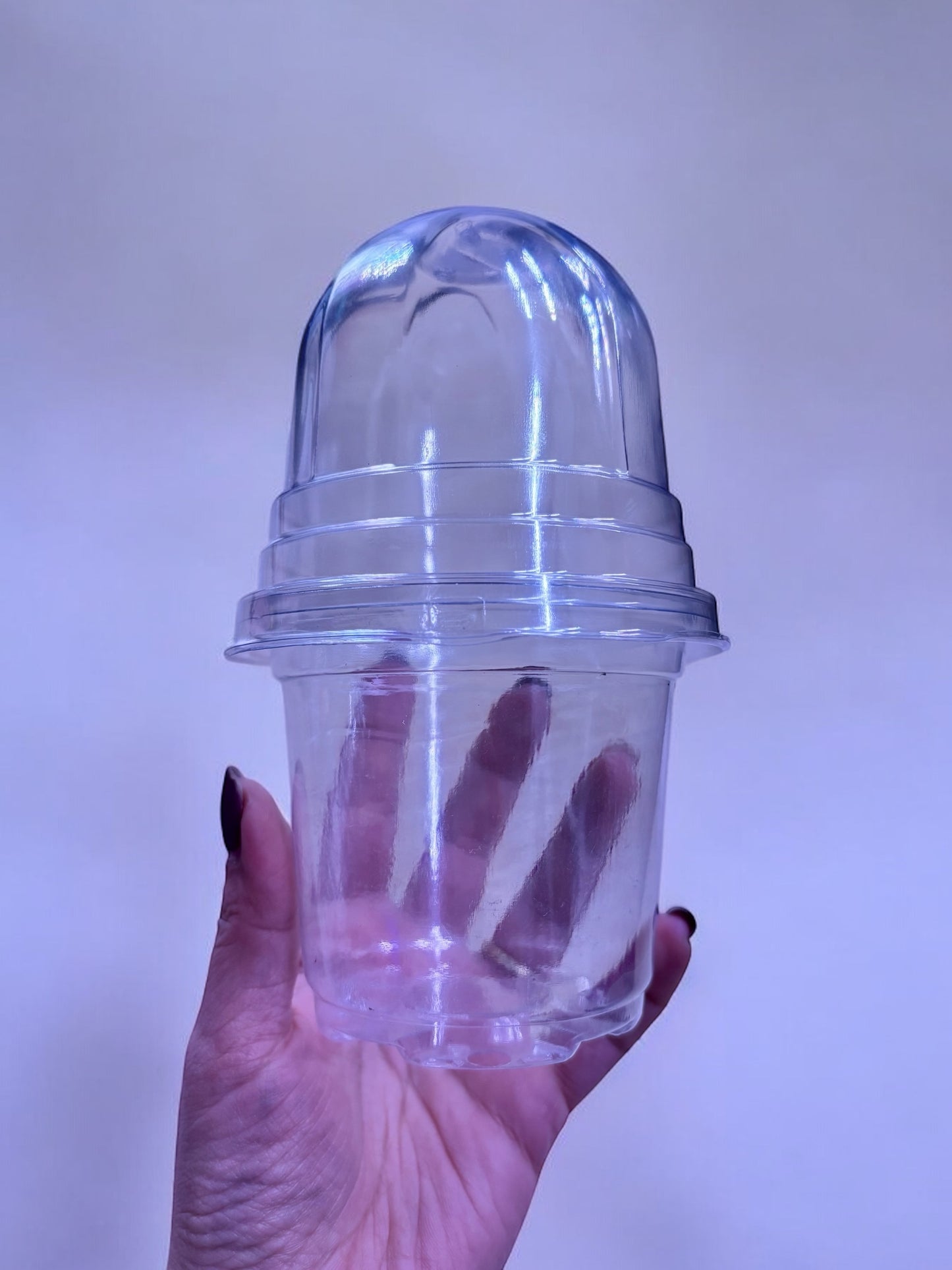 Maceta Transparente Con Cúpula para Cormos y Esquejes