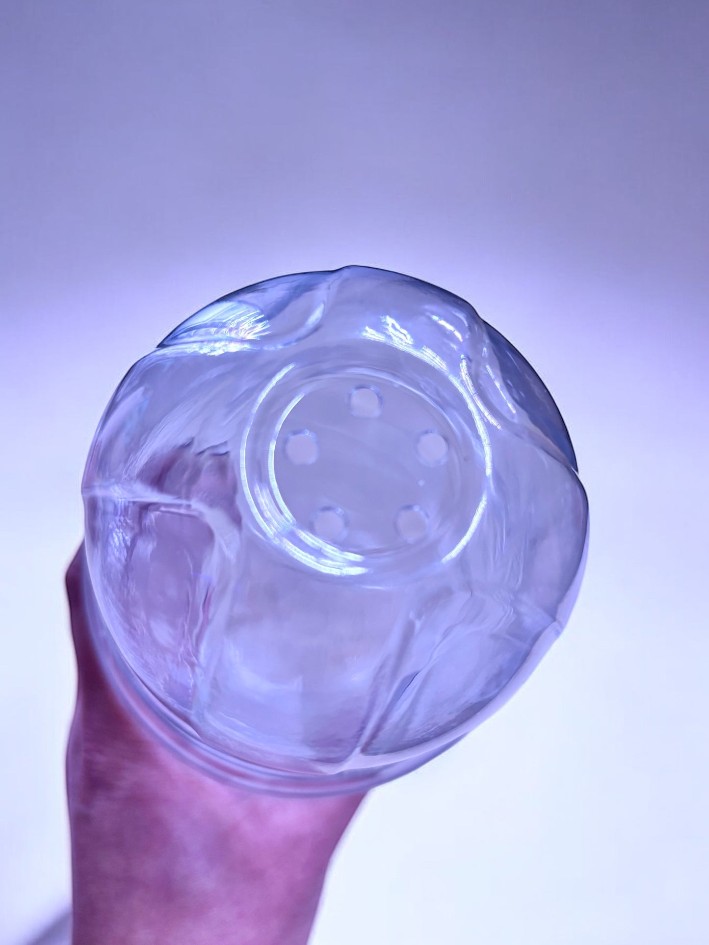 Maceta Transparente Con Cúpula para Cormos y Esquejes