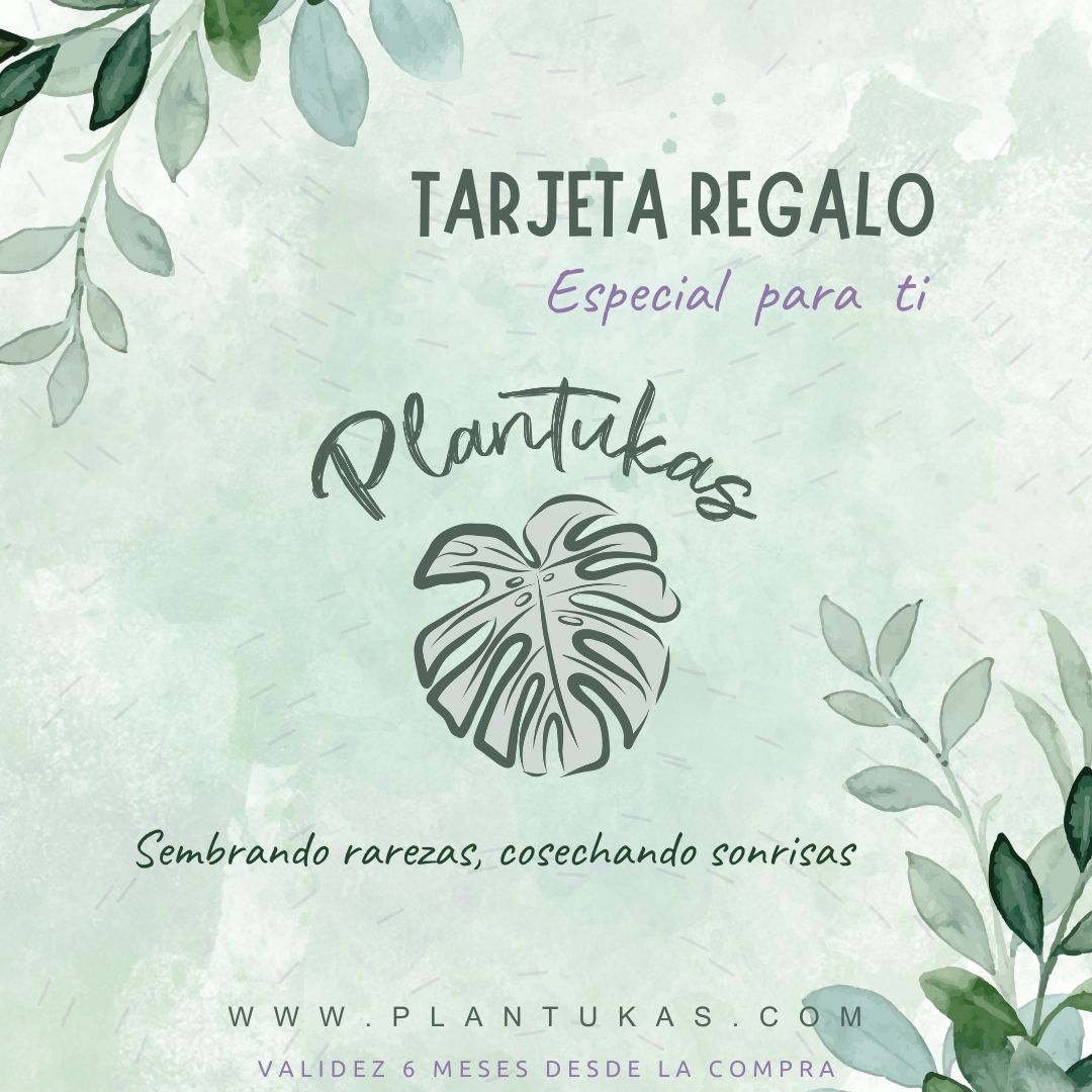 Tarjeta Regalo de Plantukas