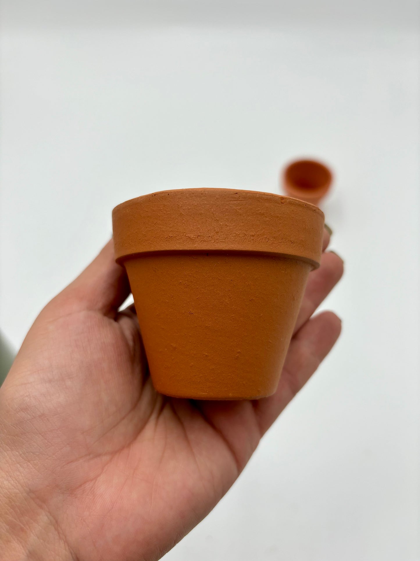 Maceta de Terracotta