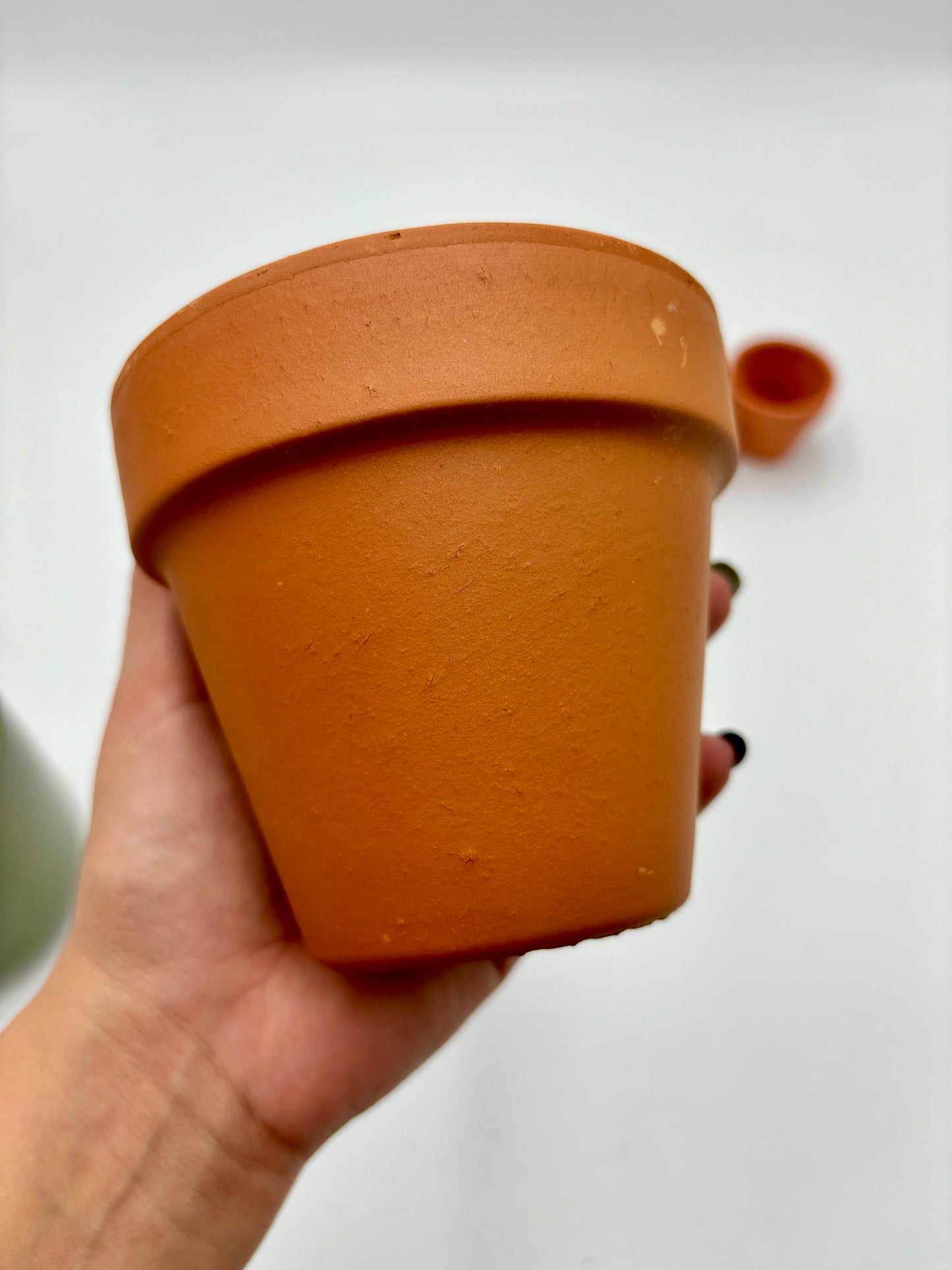 Maceta de Terracotta