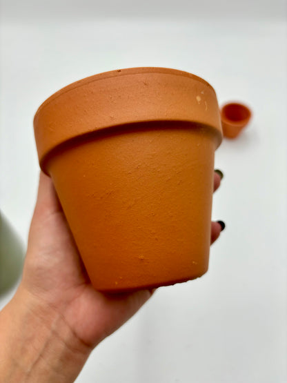 Maceta de Terracotta